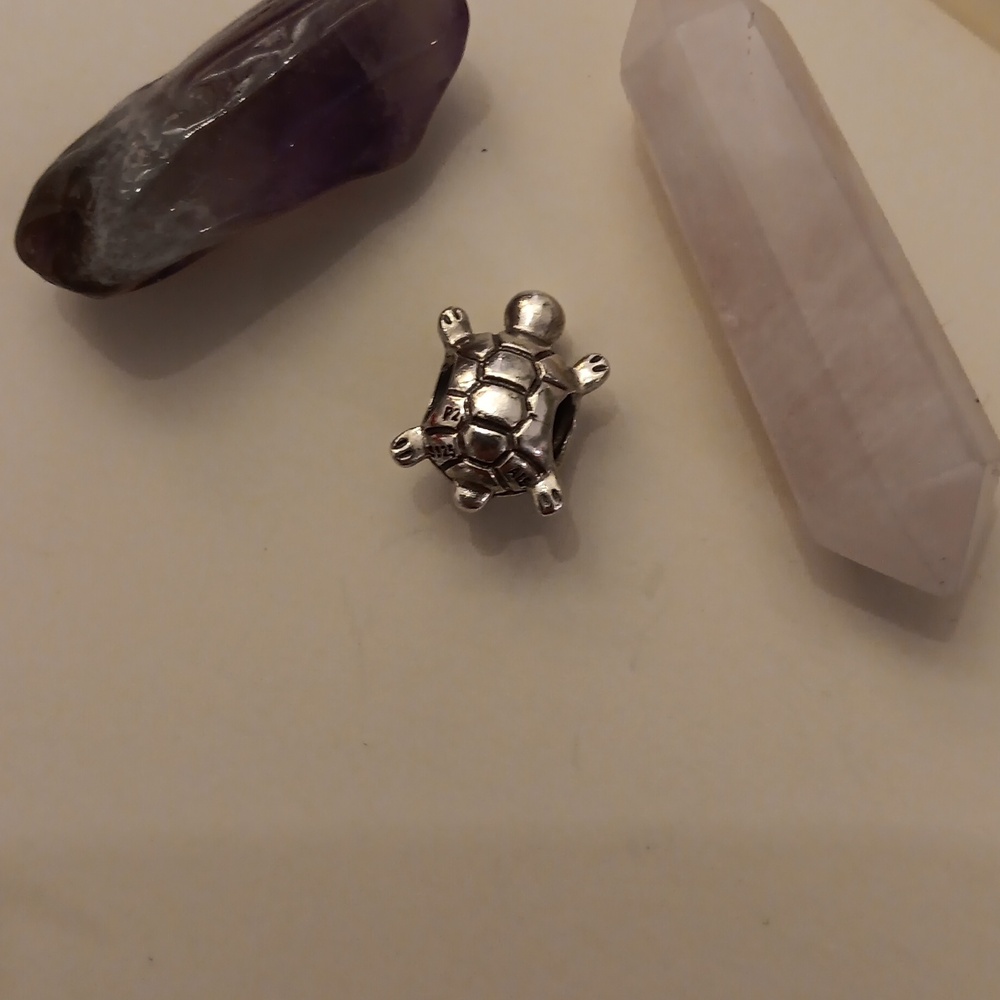 Pave Sea Turtle - Picture 2 of 2